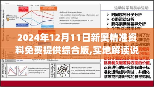 2024年新奥正版资料免费查询-构建解答解释落实