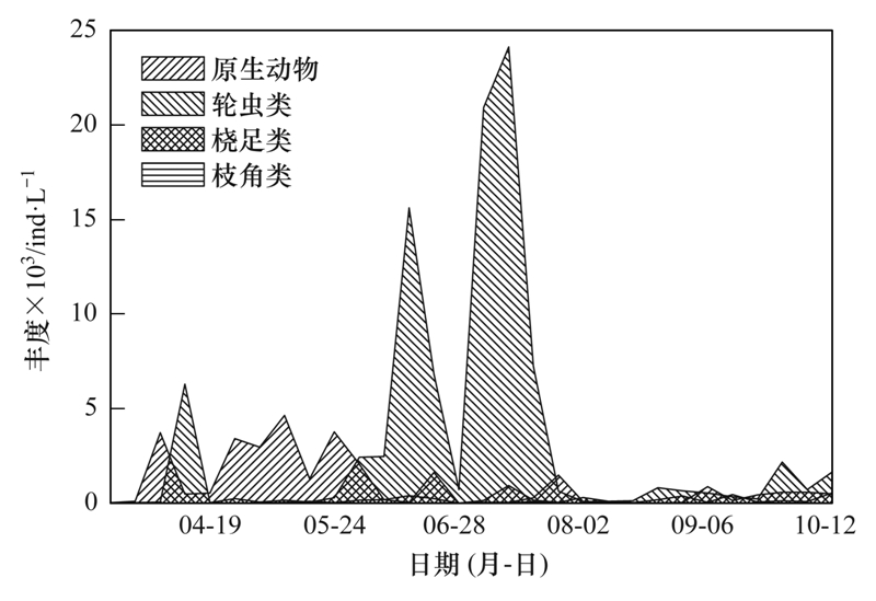 澥浦最新招聘动态及其影响