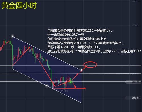 法国疫情最新数据，全面分析当前形势与应对策略