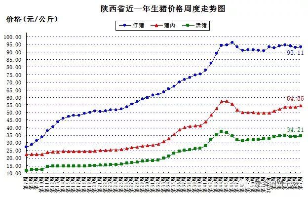 陕西猪价最新行情分析