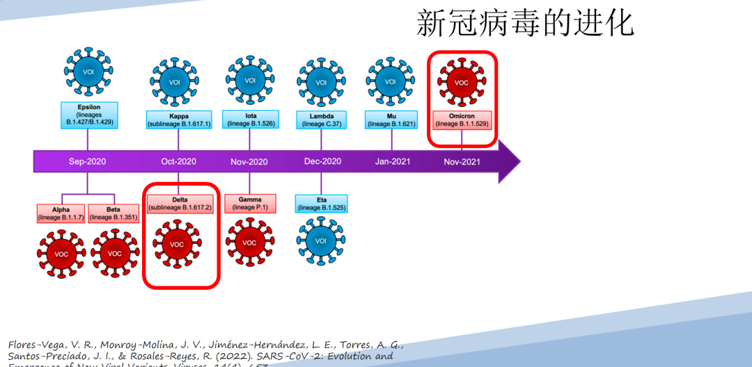 新冠疫情起源的最新研究与探讨