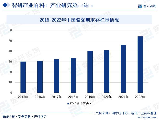 投行最新趋势，适应变革，引领未来