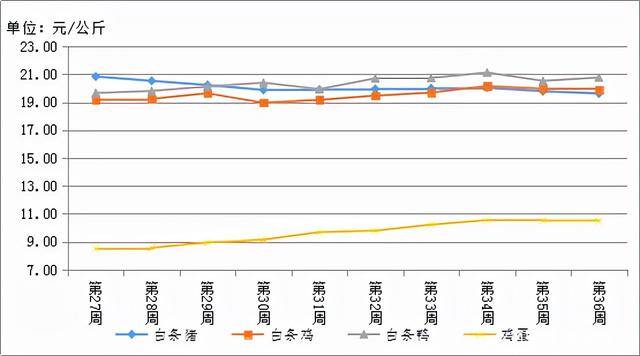 贵州猪价最新今日动态分析